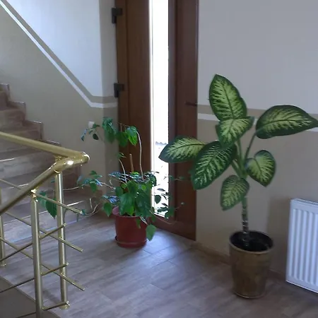 Zlata Praha Guest house