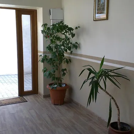 Zlata Praha Mukačevo