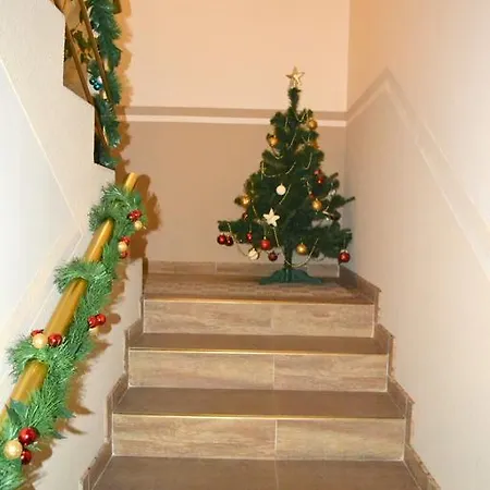 Zlata Praha Guest house *