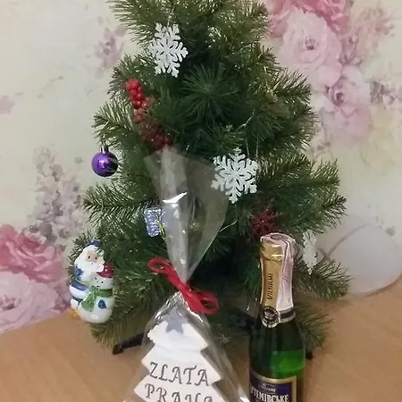 Penzion Zlata Praha 3*